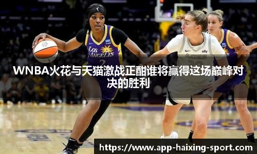 WNBA火花与天猫激战正酣谁将赢得这场巅峰对决的胜利